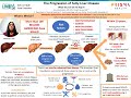 The Progression of Fatty Liver Disease, Jena Velji-Ibrahim, MD, MSc