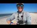 Tossing HUGE Cut Bait Off the Beach Gets CRAZY!!