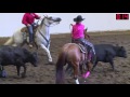 2017 Calgary Stampede Cutting Horse Competition Non Pro Champion