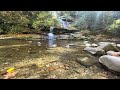 Beautiful waterfalls on Blue Ridge Drive North Carolina#waterfawat#nature #northcarolina
