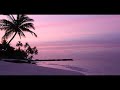Mar Playa Amanecer Caribe Tropical Palmera | Sonidos Para Dormir HD #tropical
