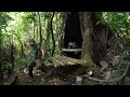Solo Bushcraft: Build shelter in the giant tree. Hunt and spend the night in the forest.