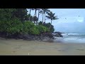 Rain On Beach Nature Sounds | Rain And Ocean Waves | White Noises For Sleep, Studying, Relaxing