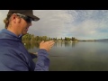 Glide Baits:  How to fish the S-Waver