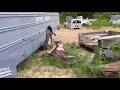 One MASSIVE Junkyard Full of Buses Old and New | SCHOOL BUS HUNTER