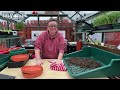 DIY seed starting mix - save money and increase your success