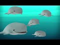 ​@Octonauts - Marine Mammal Rescues 🐋⛑️ | 60 Mins+ Compilation | Underwater Sea Education