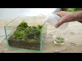 How to make a terrarium with a pond #28