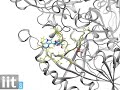 Brain Science - Molecular dynamics simulation of a drug entering into a target protein
