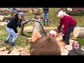 45 Unbelievable Fastest Big Forestry Chainsaw Machines Working At Another Level