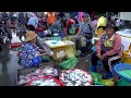 How Fish, Seafood, Vegetables, & More Are Distributed In Cambodian , Street Food Compilation