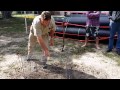 Setting Cage Traps for catching foxes.