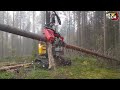 Extreme Dangerous Fastest Big Chainsaw Cutting Tree Machines | Biggest Heavy Equipment Machines #8