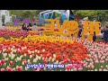 2024 고양국제꽃박람회,2024.4.26~5.12,일산호수공원 꽃축제,꽃축제 가볼만한 곳