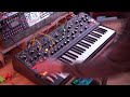 Moog Matriarch // 5 Ambient Patches [no talking]
