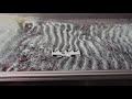 Sediment Ripples Formed in Stream Table