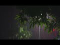 EPIC THUNDER & RAIN _ Rainstorm Sounds For Relaxing, Focus or Sleep _ White Noise 10 Hours