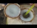 150 years of history!! Process of making Coconut Sugar and Syrup! / Coconut Farm | Thailand food