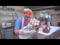 BLIPPI Visits a Chocolate Factory | Learn | ABC 123 Moonbug Kids | Fun Cartoons | Learning Rhymes