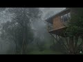 Relaxing Rain in the Misty Forest for Sleep in 2 Minutes - Rain Sound without Thunder