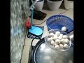 membuat bakso ulek