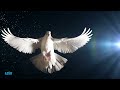 Feel The Power of The Holy Spirit Removing ALL Negative Energy From You and Your Home | 417 Hz