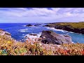 😎🌊Relax to the ambience of the California coast! #sea #ocean #california #nature