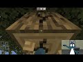 The Cats Play Minecraft
