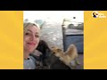 Watch This Woman Convince Guy To Give Her His Chained-Up Dog And Puppies | The Dodo Faith = Restored