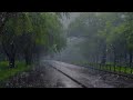 Eliminate Insomnia to Fall Asleep Quickly with Natural Sounds of Heavy Rain in the Foggy Forest
