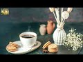 Happy Jazz ☕ Morning Coffee Jazz Music & Delicate Bossa Nova Piano for Positive moods, relax
