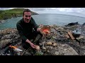 Epic Foraging Adventure!! Scallops, Crab, Big Lobster and More!!