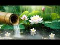 Beautiful Relaxing Music with Water Sounds - Calm Piano Music, Meditation Music, Healing Sleep Music