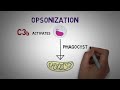 Complement System Made Easy- Immunology- Classical Alternate & Lectin pathway