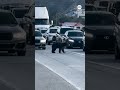 Bear stops traffic on Southern California freeway