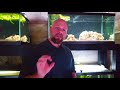 Aquarium pH: Everything You NEED to KNOW