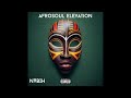 DJ NABIH - AfroSoul Elevation [AFRO HOUSE MIX]