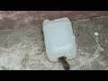 Gallon Mouse Trap,The best mouse trap I've ever seen,How to make a mouse trap homemade