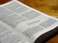 Leviticus 25 - New International Version (NIV) Dramatized Audio Bible