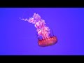 Jellyfish | Sony A7III | Sony 85mm f1.8