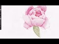 How to Paint Watercolor Peony Flowers in Procreate  | Realistic Watercolor Peonies Tutorial