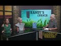 Randy's Corner - 06/11/2024