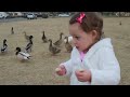 Baby Quinn feeding ducks at the park (CUTE!)