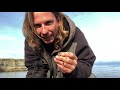 Sea Glass Hunting Cape Breton, Nova Scotia For Beachcombing Gems, Shells, Driftwood & Sand Dollars!
