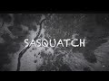 Sasquatch scale and rig model test