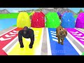 Paint & Animals Duck,Gorilla,Lion,Elephant,Cow,Sheep Fountain Crossing Transformation Animal Cartoon