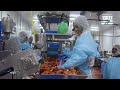 How the Largest Lobster Company in Maine Processes Over 600,000 Pounds per Week — Vendors