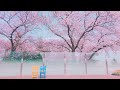 [Playlist] Chill playlist🌼Songs that immediately hit the heart in the first verse 💚😙 Daily Melody