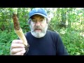 Paul Stamets in FP's cultivated morel patch June 2 2011