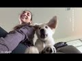 When your dog has a deep conversation with you 🐶 Funniest Dog and Human Video